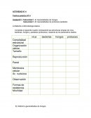 ENFERMEDADES AUTOINMUNE