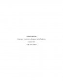 Técnicas en Prevencion de Riesgos en Sector Productivo.