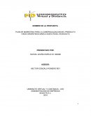 Plan de marketing para la comercializacion de vinos argentinos santa rosa..