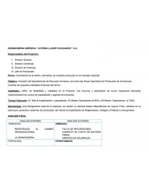 PROYECTO REINGENIERIA. Página 1