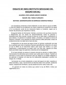ENSAYO DE IMSS (INSTITUTO MEXICANO DEL SEGURO SOCIAL)