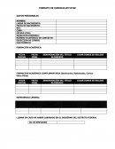 FORMATO DE CURRICULUM VITAE.