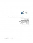 Actividad 4: Inteligencia cultural en las organizaciones.