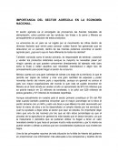 Importancia del Sector Agrícola en la Economía Nacional