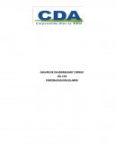 ANÁLISIS DE VULNERABILIDAD DEL CDA..