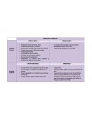 Evolución de las leyes del turismo en Venezuela.