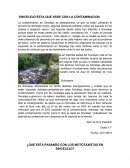 SINCELEJO ESTA QUE ARDE CON LA CONTAMINACION