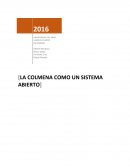 Abejas. La colmena como un sistema abierto