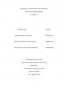 Cómo se explican los componentes que determinan la naturaleza de la tecnología?