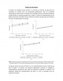 Capitulo 2, arrendamiento- Análisis de Resultados