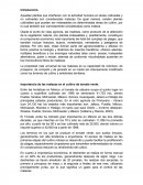 Malezas en el cultivo de tomate verde.