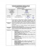 Programa y cronograma. Teoría Cultura Latinoamericana.