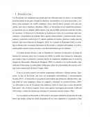 Los flavonoides son compuestos que pueden prevenir diferentes tipos de cáncer