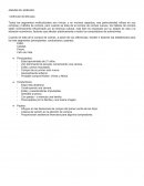 Análisis del Mercado - Nissan