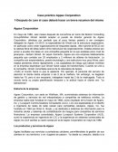 Caso practico Appex Corp.