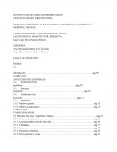 TESIS PROFESIONAL PARA OBTENER EL TITULO LICENCIADO EN ARQUITECTURA PRESENTA