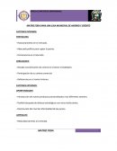 MATRIZ FODA PARA UNA CAJA MUNICIPAL DE AHORRO Y CRÉDITO