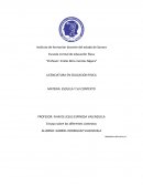 Ensayo sobre los diferentes contextos