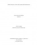 APORTE INDIVIDUAL SIMULADOR LABORATORIO MICROSCOPIA