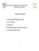 Andrea Sofía Rosas Casanova nació el 10 de octubre de 1996, en la Ciudad de México. Vivió hasta los 9 años en la Ciudad de México, cuando se mudó a San Juan del río Querétaro junto con sus papas y su hermano menor.