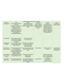 Compartimiento anterior de brazo y antebrazo.