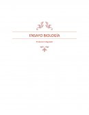 ENSAYO BIOLOGÍA Producto Integrador