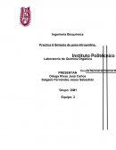 Ya que habíamos añadido la mezcla de ácidos poco a poco se agitaba el matraz Erlenmeyer y se dejaba reposar durante 20 minutos.