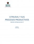 CITRUSVIL Y SUS PROCESOS PRODUCTIVOS