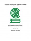 Tema: Que el alumno utilice diferentes aditivos alimentarios en la elaboración del helado.