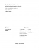 Influencia de la luz en las plantas