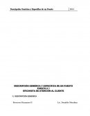 DESCRIPCIÓN GENÉRICA Y ESPECÍFICA DE UN PUESTO OFICINISTA DE ATENCION AL CLIENTE