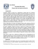 Ensayo sobre las fuentes del Derecho (Sociedades Mercantiles) (IVÁN).