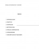 Este Manual de Organización y Funciones debe servir como base para la elaboración de su propio Manual en cada Institución, deberán adaptarse las estructuras organizacionales, y funciones de acuerdo a la naturaleza propia de entidad.