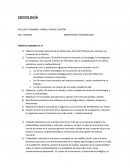 Sociología del Sistema Social.