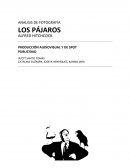 Analisis The Birds/ Los Pajaros- Hitchcock