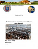 Posturas y opiniones respecto al proyecto de la mega planta de engorda