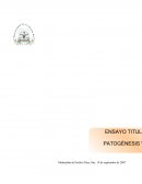 La patogénesis viral