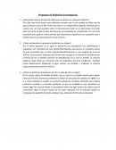Preguntas de Reflexión/Investigación