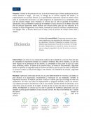 Procesos automatizados - Lan