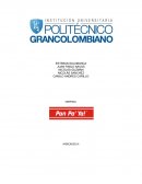 Investigacion pan pa ya