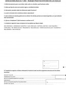 CIENCIAS BIOLÓGICAS 2° AÑO - TRABAJO PRÁCTICO ESTUDIO DE LAS CELULAS