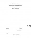 Guerras independentista y agricultura.