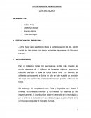 Datos del litio en Bolivia.