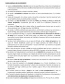 Pasos generales de un expediente administrativo.