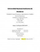 Formulación y evaluación de proyectos