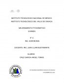 MEJORAMIENTO FITOGENETICO.