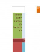 Informe de morfología bacteriana.