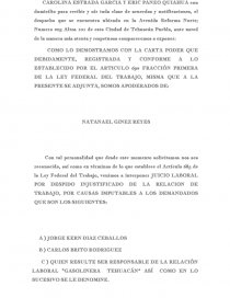 FUNDAMOS NUESTRA DEMANDA EN LOS SIGUIENTES HECHOS Y CONSIDERACIONES DE DERECHO. Página 1