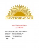 ENSAYO MICROENOMICO “LA AMISTAD”