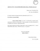 ¿Cual es el Agravio constitucional alegado por los apelantes?.